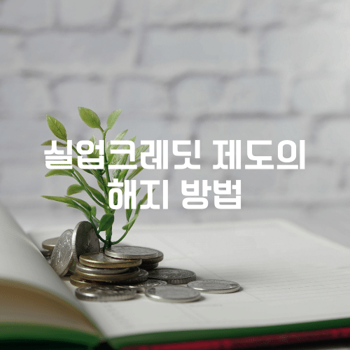 실업크레딧 제도의 해지 방법
