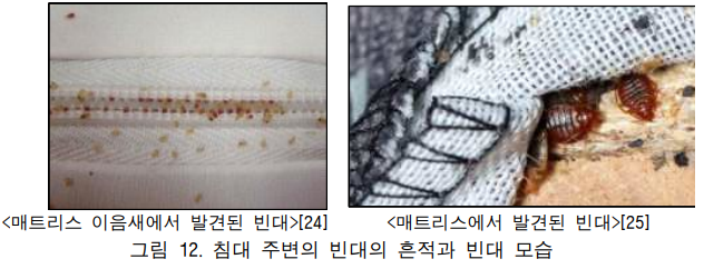 빈대 확인의 개념