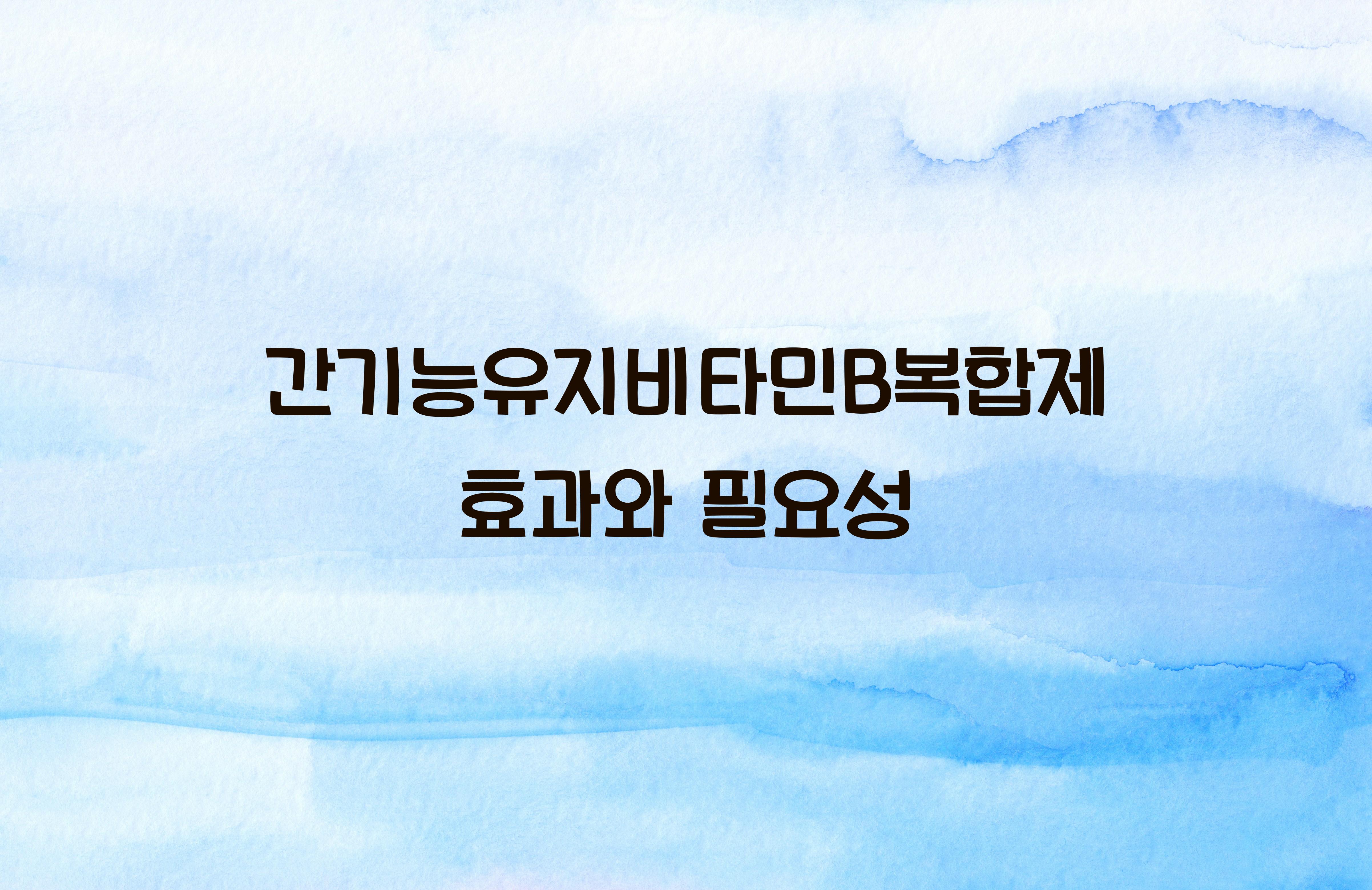 간기능유지비타민B복합제
