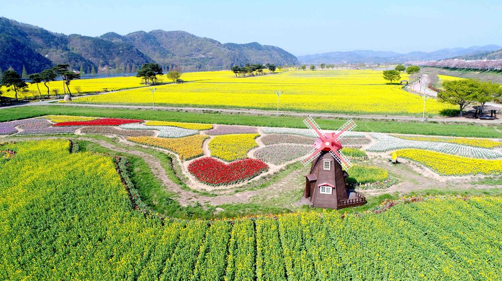 제 19 회 창녕낙동강유채 축제 기본일정과 프로그램 손태진 반가희 김유선 박혜신 하이랑 송자영 출연