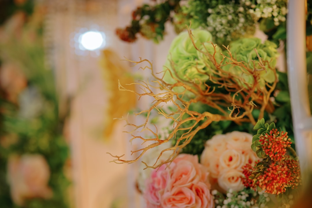 Arrangement