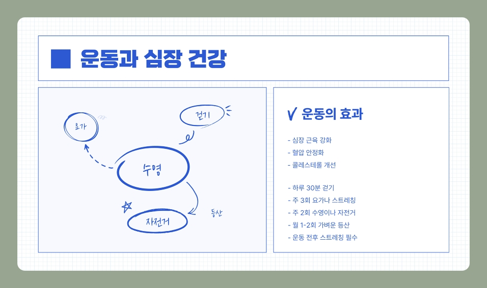 60세 이상이라면 꼭 알아야 할 심장 건강 체크리스트와 생활습관 예방법 (60대, 70대, 80대)