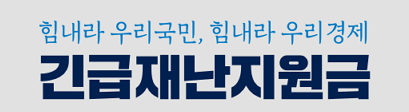 25년 민생지원금 지급 현황