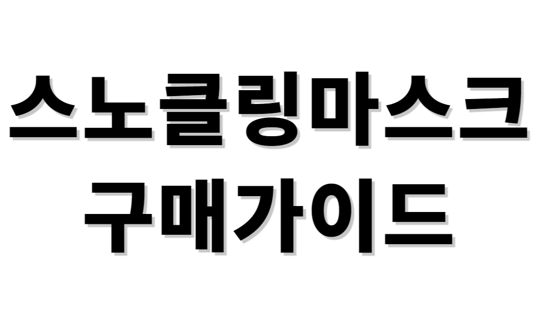스노쿨링마스크 구매가이드