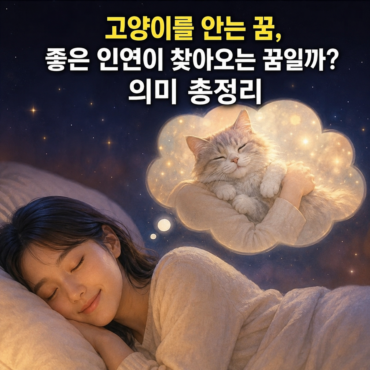 고양이를 안는 꿈