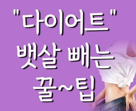 다이어트 팁