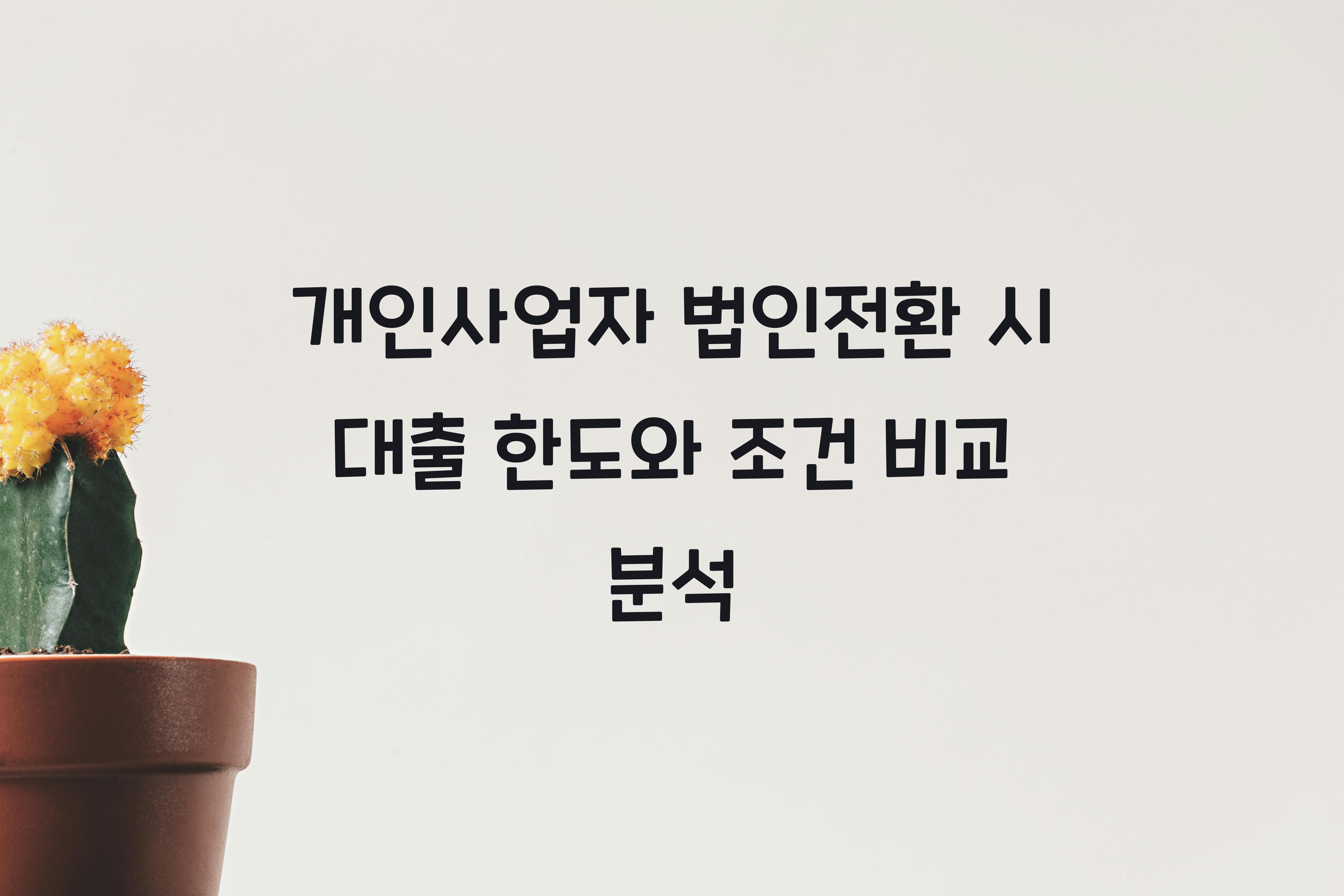 개인사업자 법인전환 시 대출 한도