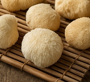 노루궁뎅이버섯 효능