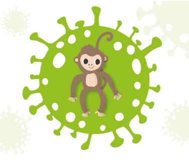 2026 병오년 원숭이띠 신년운세 무료로 보는 법