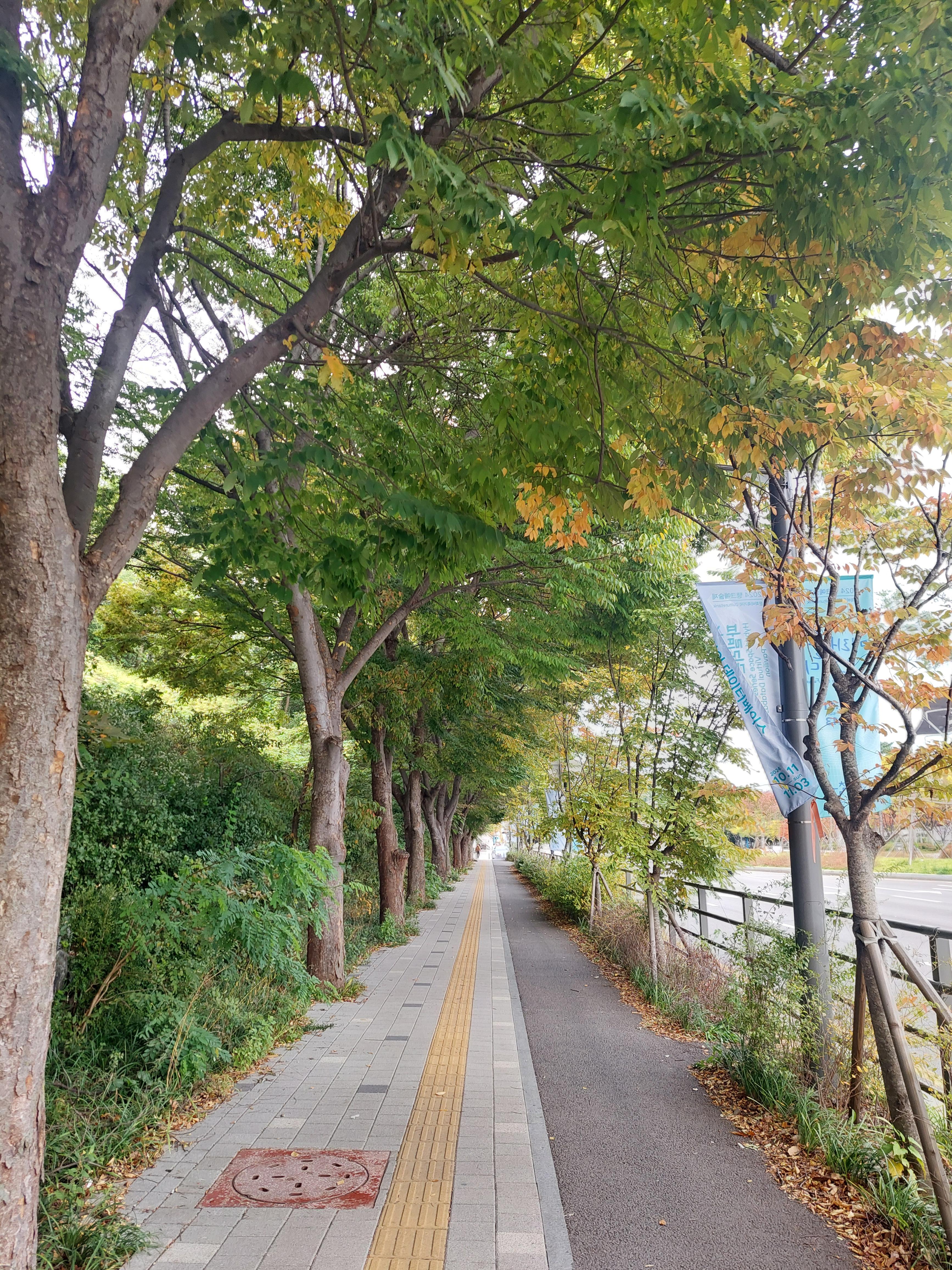 하늘공원