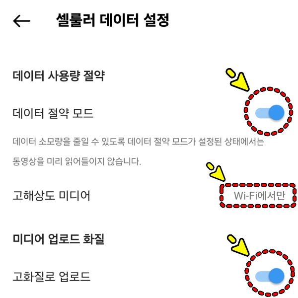 셀룰러 데이터 설정 이미지