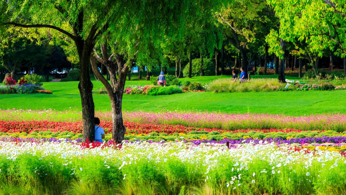 순천만국가정원 봄 28만 평 봄꽃 명소