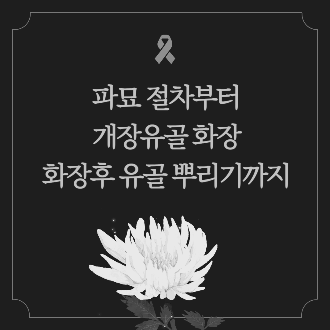 파묘, 개장유골 화장, 개묘