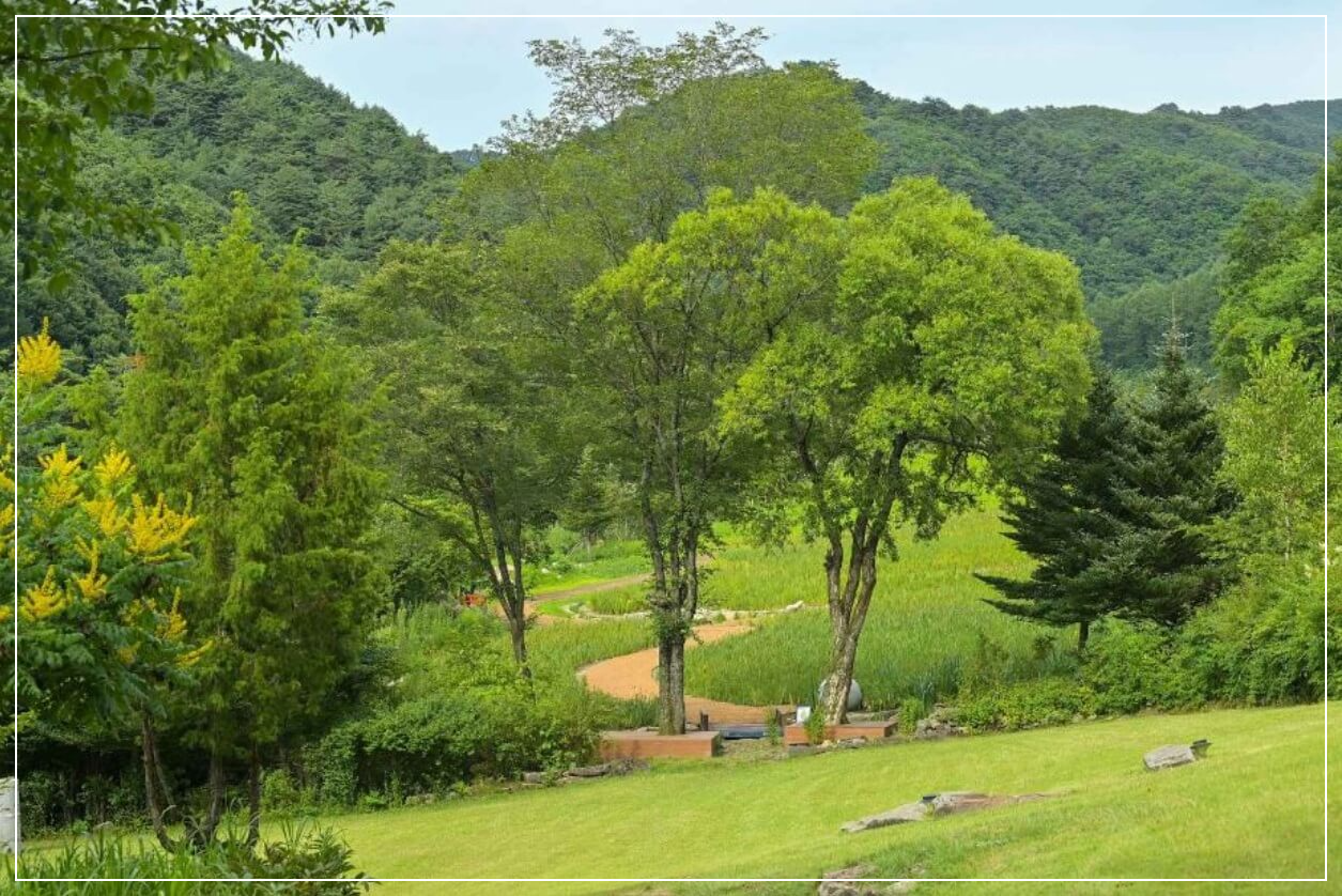 평창 가볼만한곳 베스트10 국립한국자생식물원