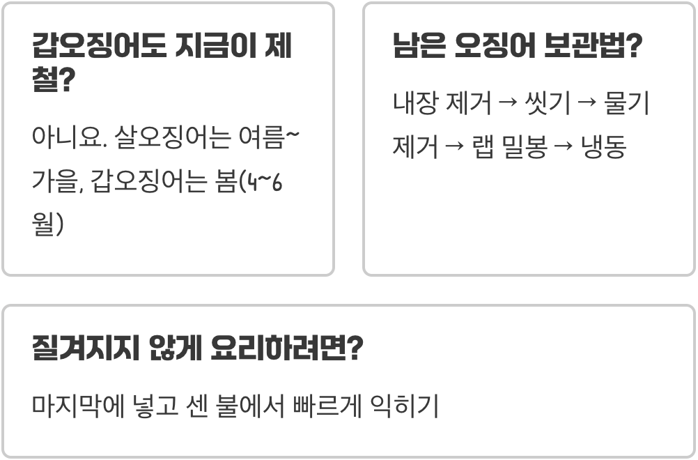 생물오징어 제철&amp;#44; 1년 중 가장 싸고 맛있게 먹을 수 있는 시기는?