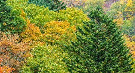습관은 명상에서 영감을 받는다