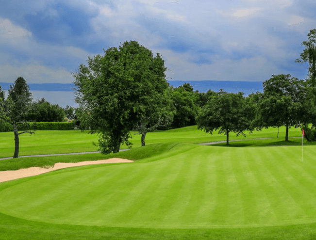 여름밤 생중계! 2025 에비앙 챔피언십&amp;#44; 한국선수 20여명 총출동