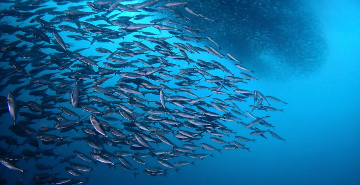 kkday 할인 연차 소진 활용 세부 오슬롭 투어 추천 동남아 해외여행 추천