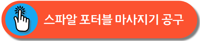 스파알 포터블 마사지기