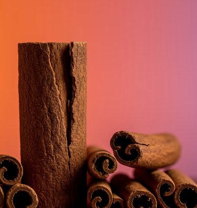 계피와 시나몬, 같은 듯 다른 두 얼굴 : 카시아 계피