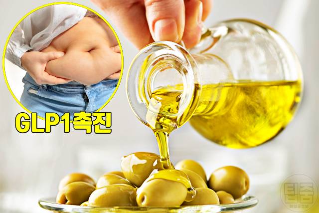 복부 체지방 빼는 음식 엑스트라버진 올리브오일