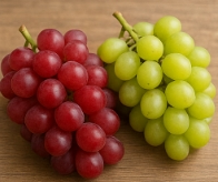 포도 종류