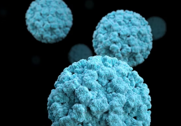 노로바이러스 전염