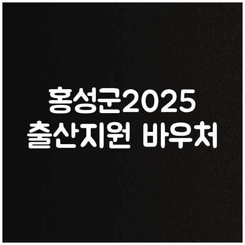 홍성군 2025 출산지원 산모 신생아..