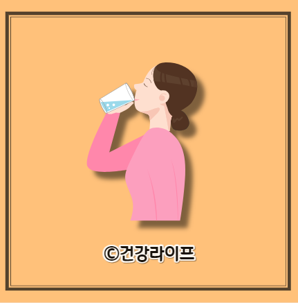 콜라겐의 효능, 콜라겐 먹는시간, 부작용, 하루 권장량