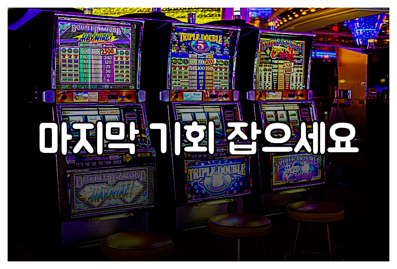 마지막 기회 잡으세요