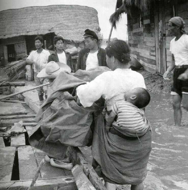 대한민국 태풍사라 피해