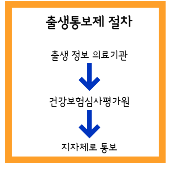 출생통보제절차