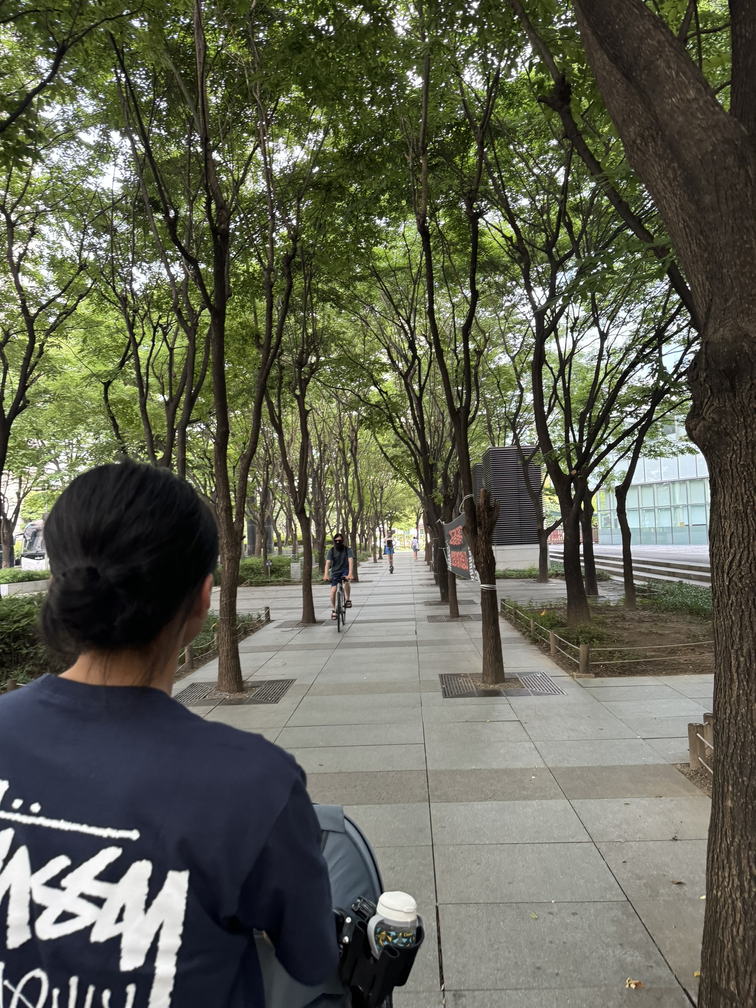 서여의도 은행 사이 나무길