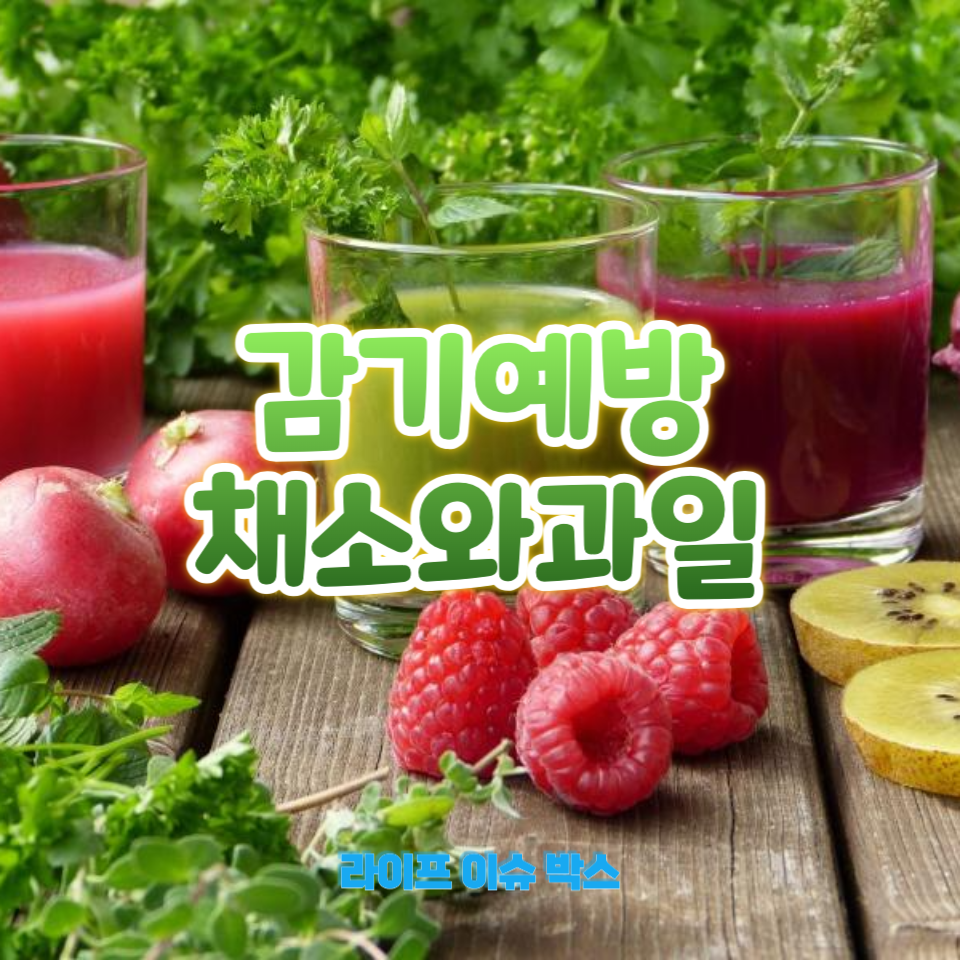 감기예방 채소와과일