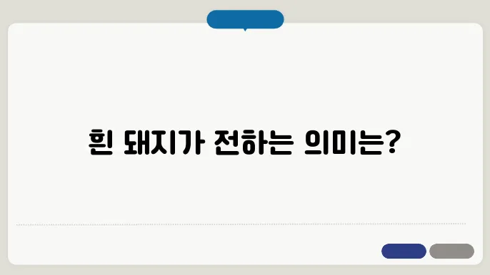 흰 돼지 꿈 해몽