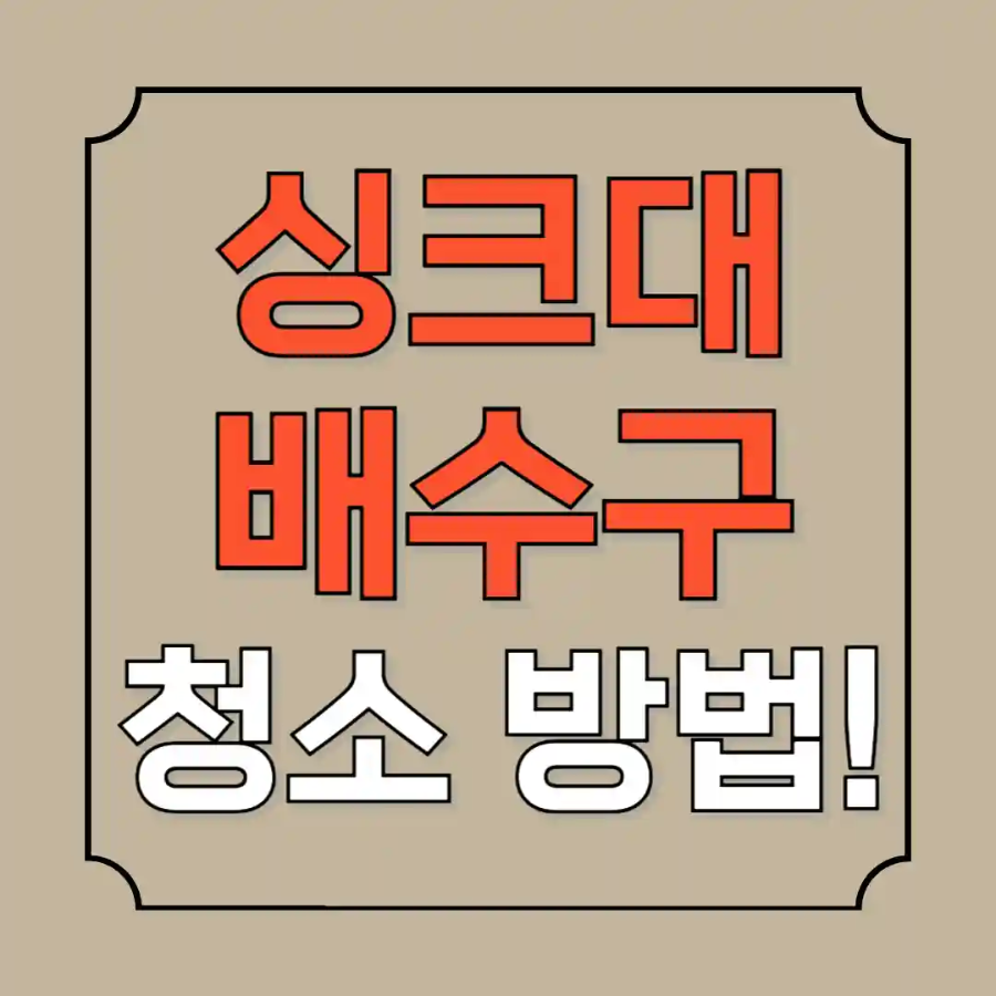 싱크대 배수구 청소