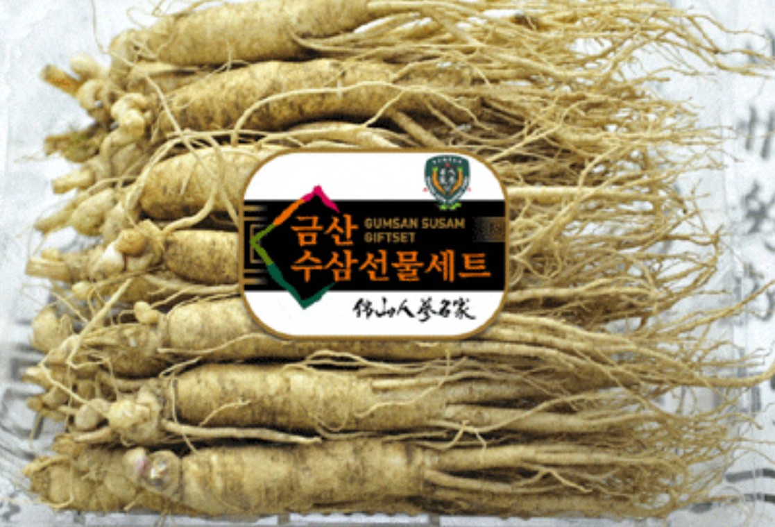 6시내고향 금산 인삼 썸네일