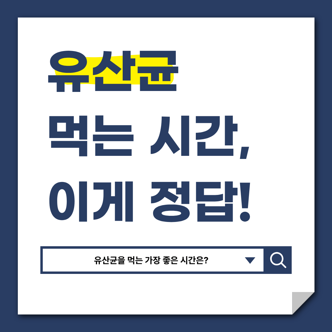 유산균 먹는 시간, 언제가 가장 효과적일까?