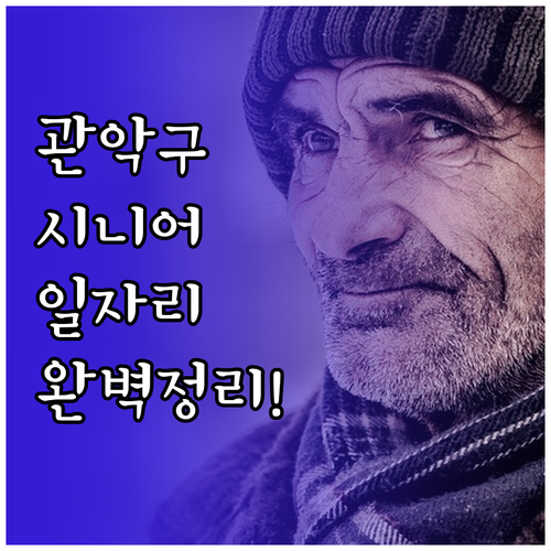관악구 시니어클럽 일자리 종류별 활동..