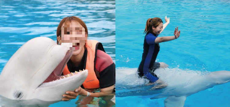 거제 씨월드 체험