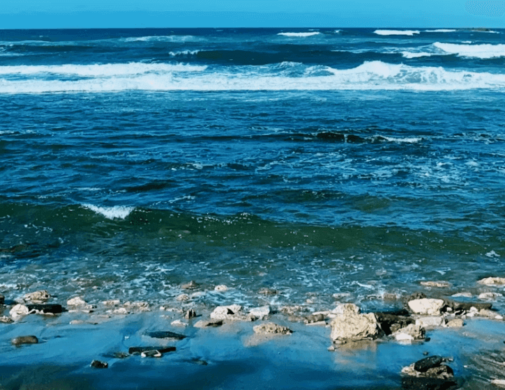 5월 바다 밥상 이벤트 신청하기