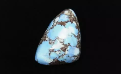 골든힐터코이즈