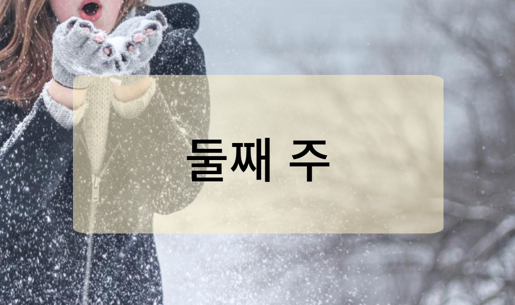 주말 및 휴일 날씨 (1월 4일 ~ 1월 5일)