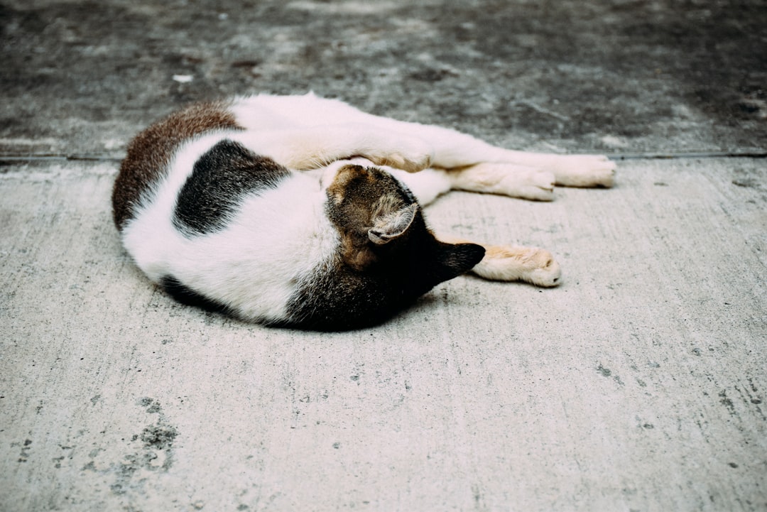 Position