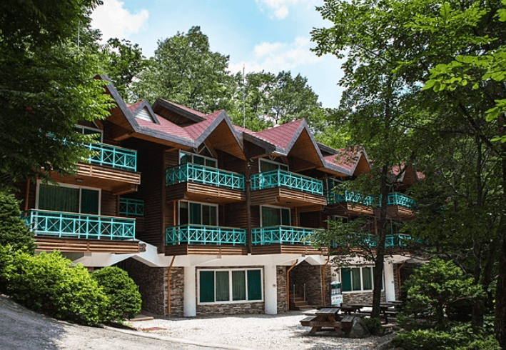  대관령-자연휴양림