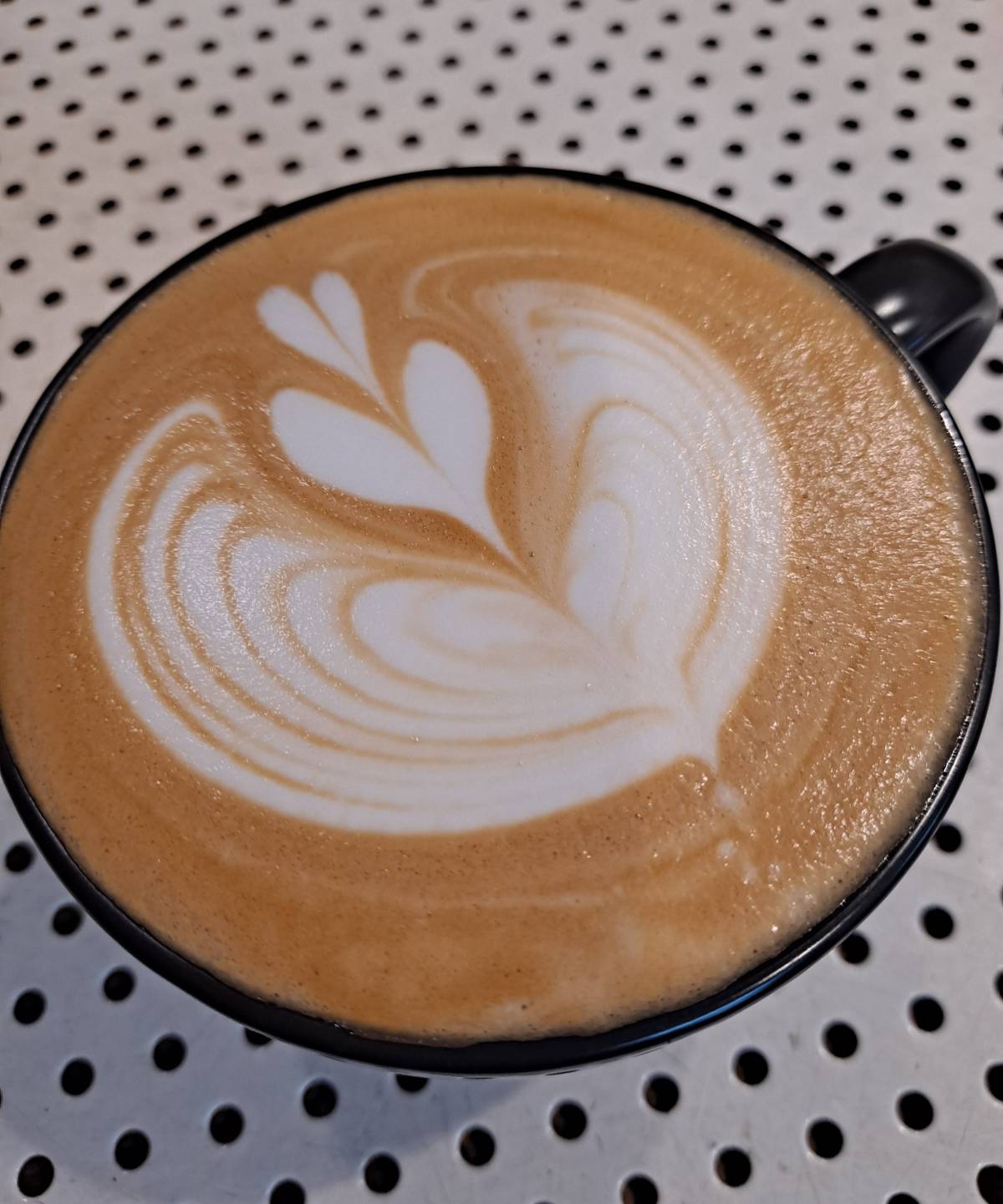 라떼아트 윙튤립