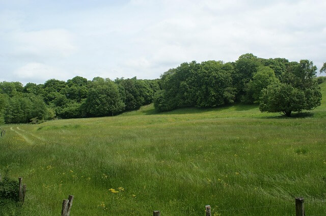 SCHD ETF 배당 전략