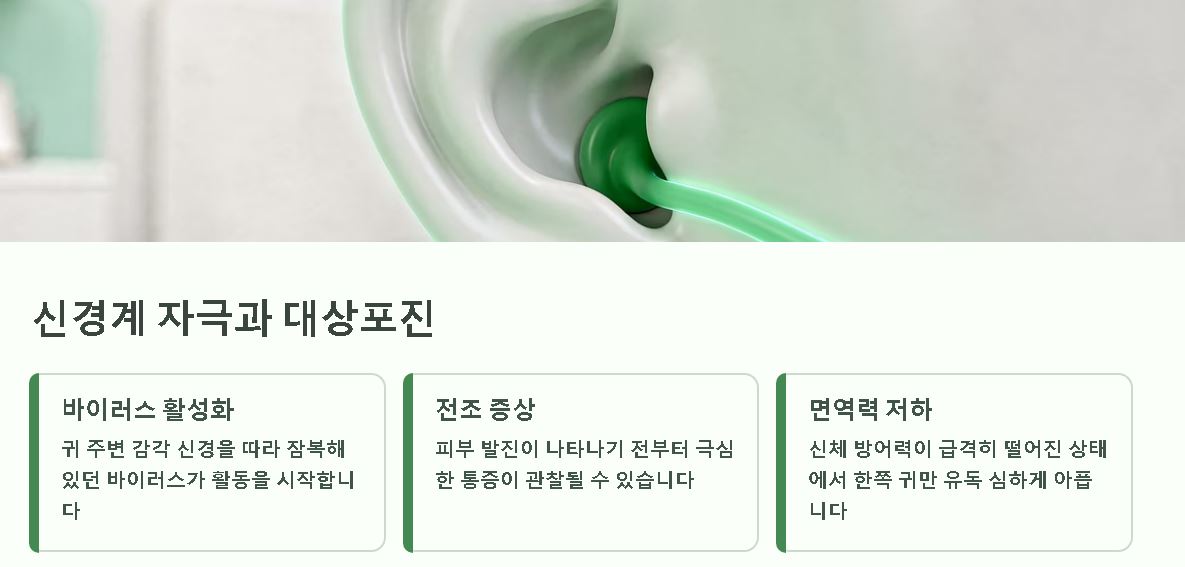 귀가 아픈이유