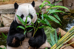 2024 수능 수험생 수험표 할인 이벤트