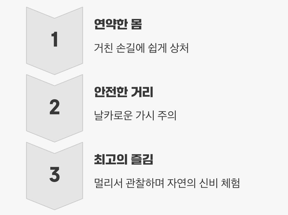 만져보기보다, '관찰하기'
